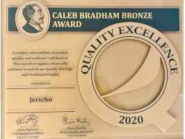Bronze Award